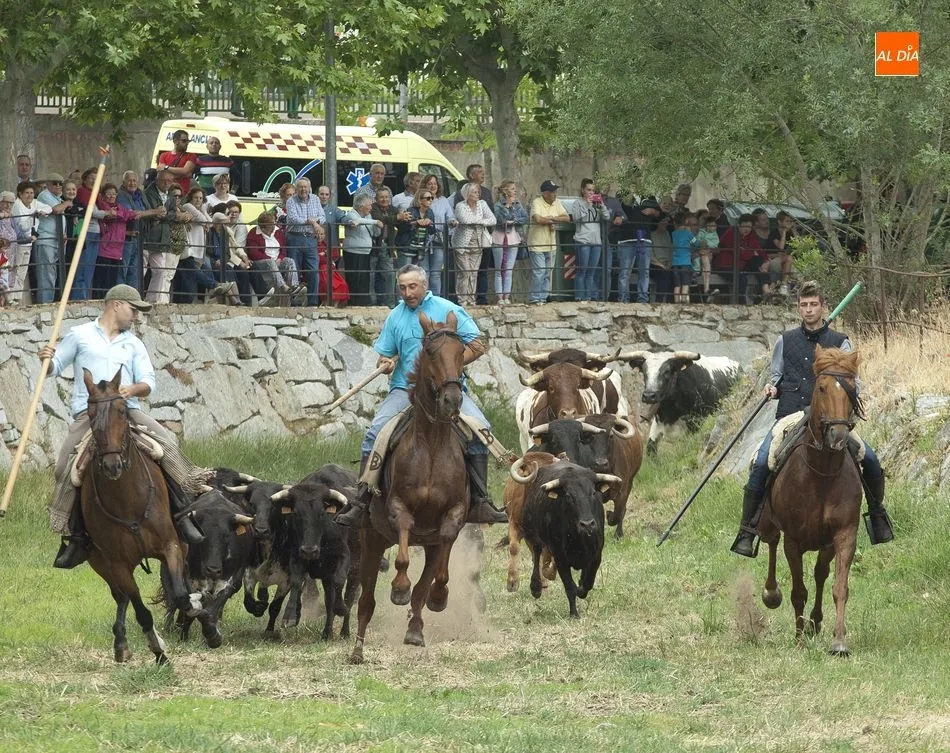 El encierro por el cauce del río Gavilanes | Fotos Adrián Martín