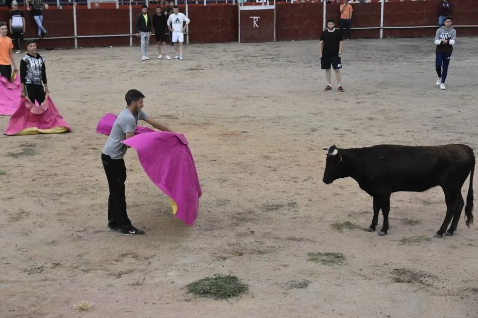 Foto 10 - Tarde de vaquillas partida por el agua en Villares de la Reina