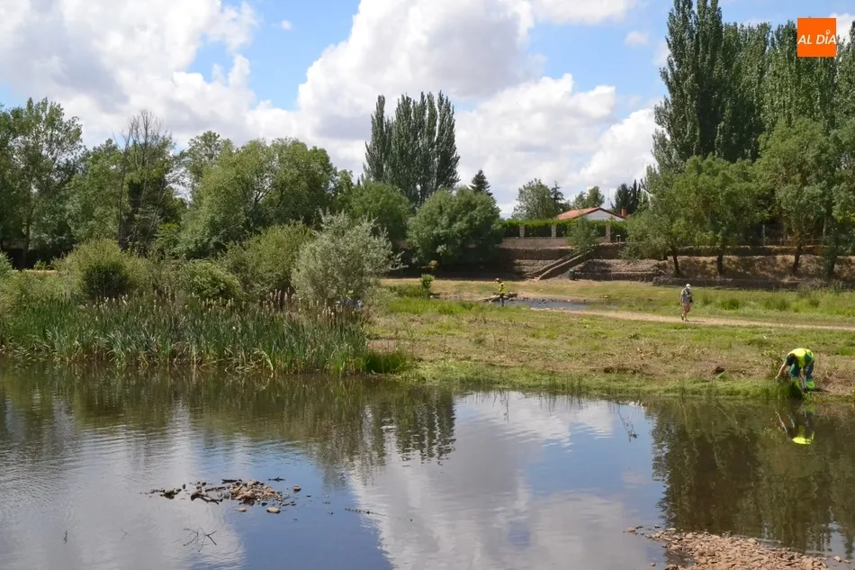 Foto 6 - La Pesquera se pone guapa para la llegada de la primera ola de calor del verano  