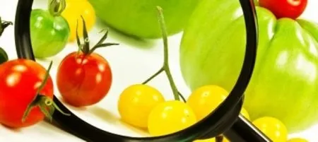 Productos alimenticios