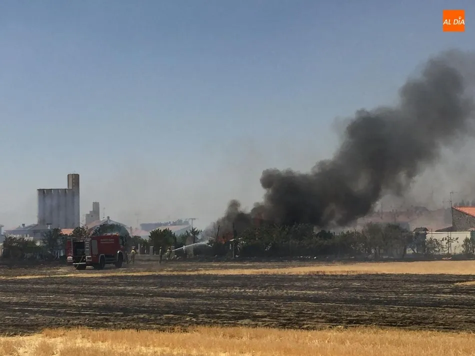 Foto 11 - Un incendio de gran envergadura quema varios huertos familiares en el pol&iacute;gono El Inestal de...