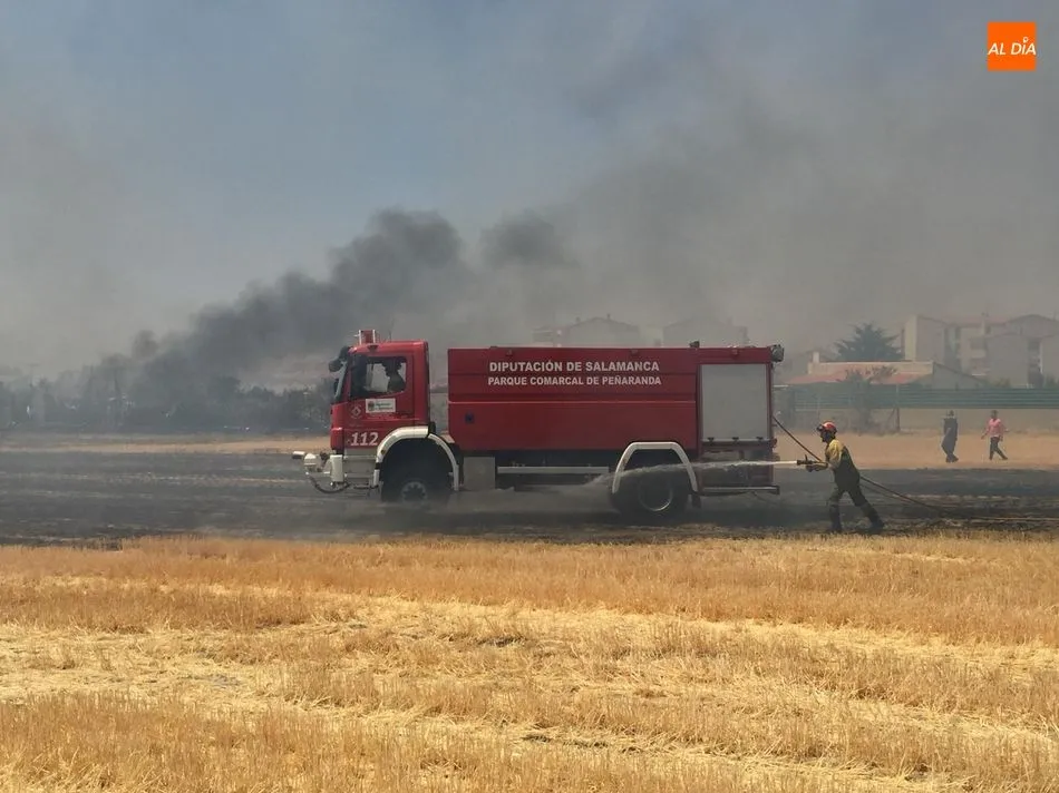 Foto 8 - Un incendio de gran envergadura quema varios huertos familiares en el pol&iacute;gono El Inestal de...