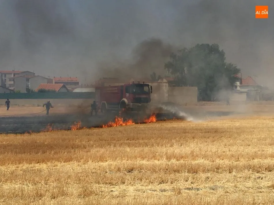 Foto 4 - Un incendio de gran envergadura quema varios huertos familiares en el pol&iacute;gono El Inestal de...