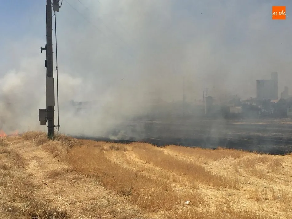 Foto 3 - Un incendio de gran envergadura quema varios huertos familiares en el pol&iacute;gono El Inestal de...