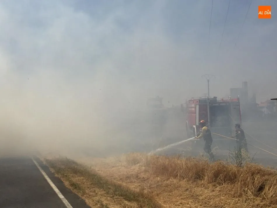 Foto 2 - Un incendio de gran envergadura quema varios huertos familiares en el pol&iacute;gono El Inestal de...