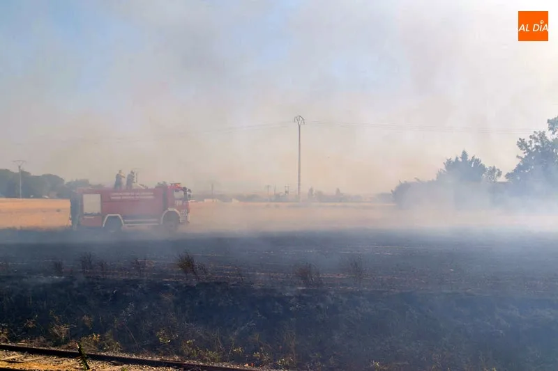 Foto 10 - Complicado incendio junto a la estaci&oacute;n de tren de Pe&ntilde;aranda