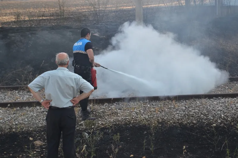 Foto 5 - Complicado incendio junto a la estaci&oacute;n de tren de Pe&ntilde;aranda
