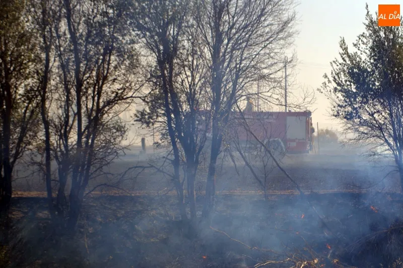 Foto 4 - Complicado incendio junto a la estaci&oacute;n de tren de Pe&ntilde;aranda