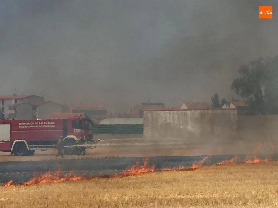 Máxima alerta por los incendios forestales por la sequía