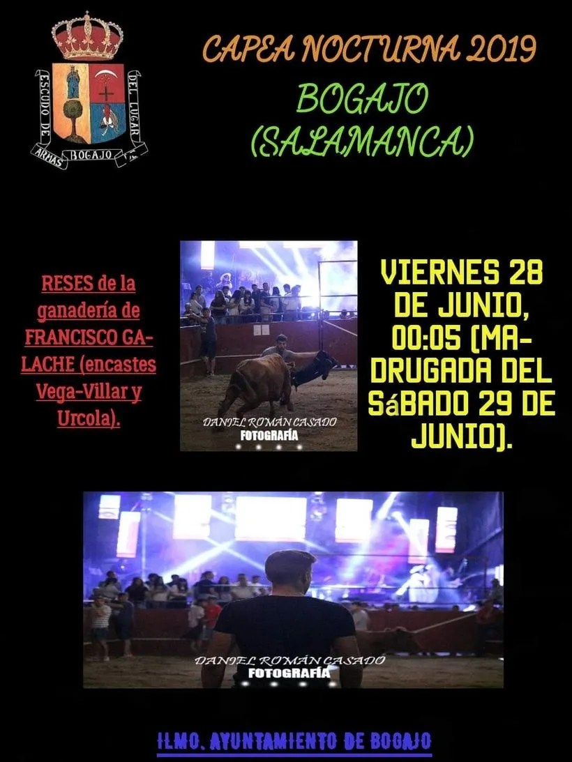 Foto 3 - Bogajo ya tiene listo el coso para los festejos taurinos&nbsp;  