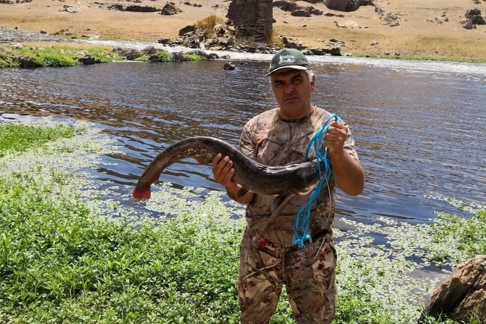 Foto 2 - Los pescadores de Alba mitigan el calor con siluros en el Alag&oacute;n  