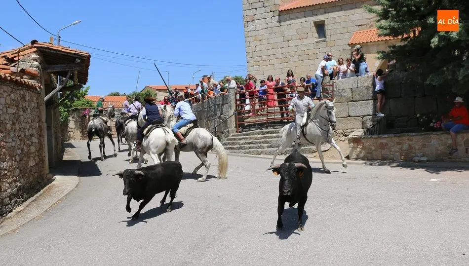 Dos de los novillos se daban la vuelta en el recorrido y preparaban el espectáculo / CORRAL