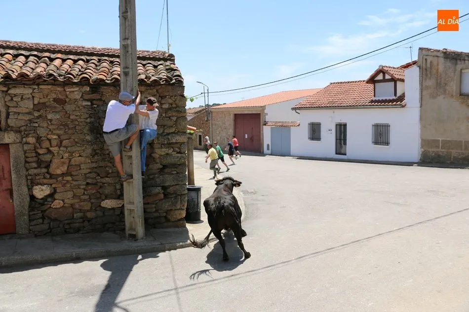 Foto 8 - Espectacular encierro a caballo en Bogajo con novillos de Herederos de Dionisio Rodr&iacute;guez  