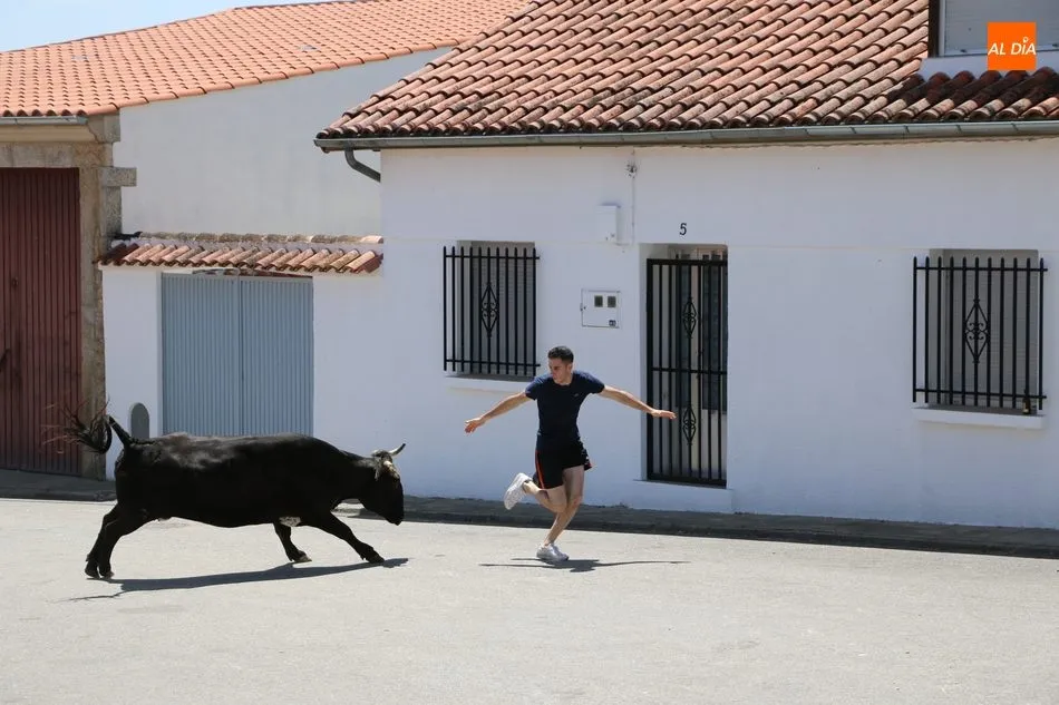 Foto 6 - Espectacular encierro a caballo en Bogajo con novillos de Herederos de Dionisio Rodr&iacute;guez  