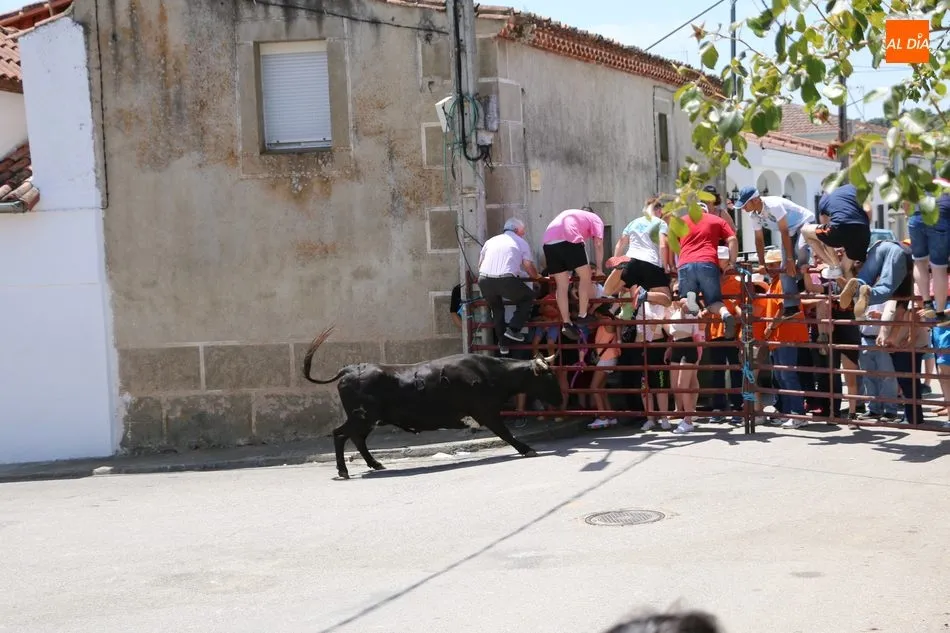 Foto 5 - Espectacular encierro a caballo en Bogajo con novillos de Herederos de Dionisio Rodr&iacute;guez  