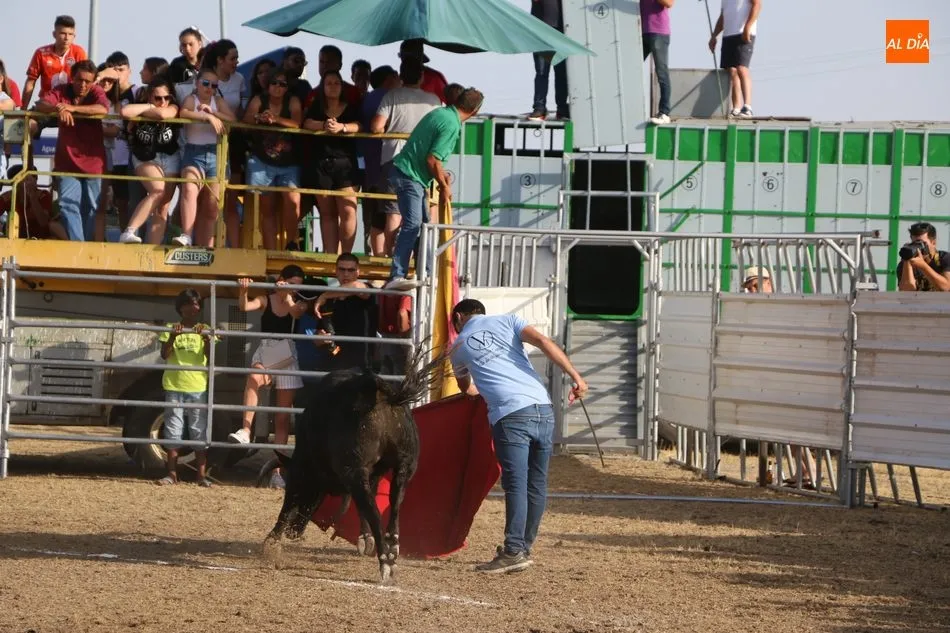 Foto 11 - Bonito festejo taurino en Villar de Peralonso y para todos los gustos  