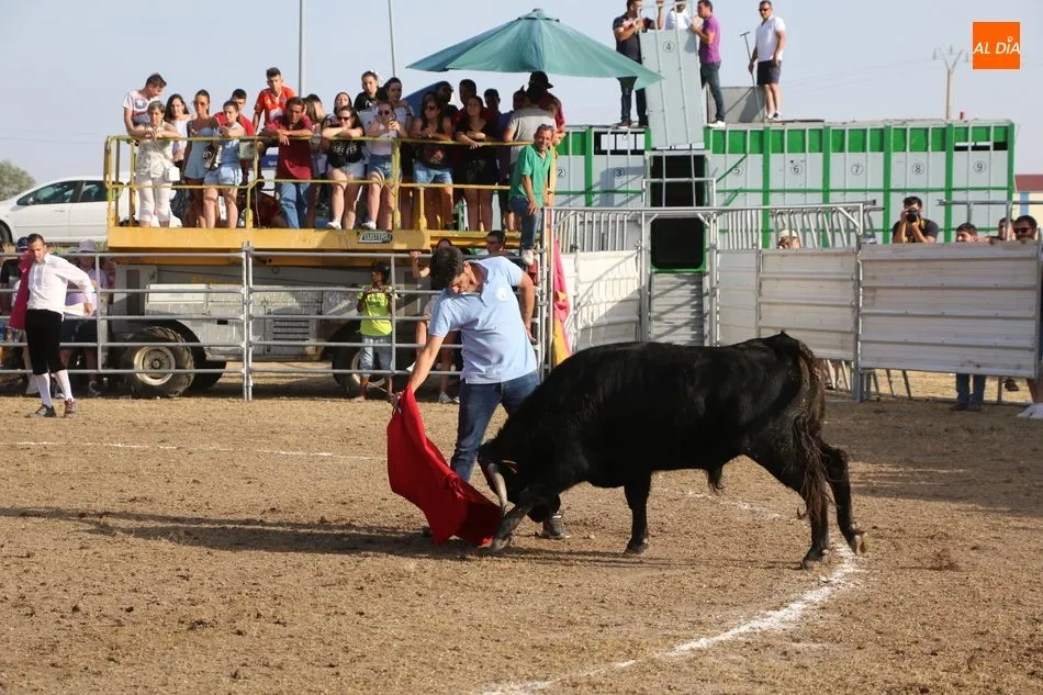 Foto 10 - Bonito festejo taurino en Villar de Peralonso y para todos los gustos  