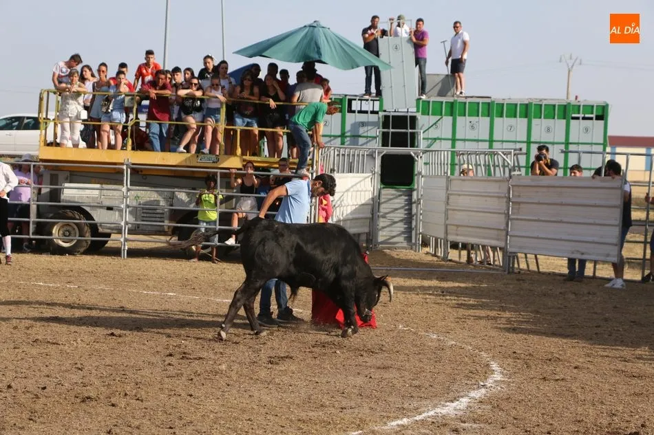 Foto 9 - Bonito festejo taurino en Villar de Peralonso y para todos los gustos  