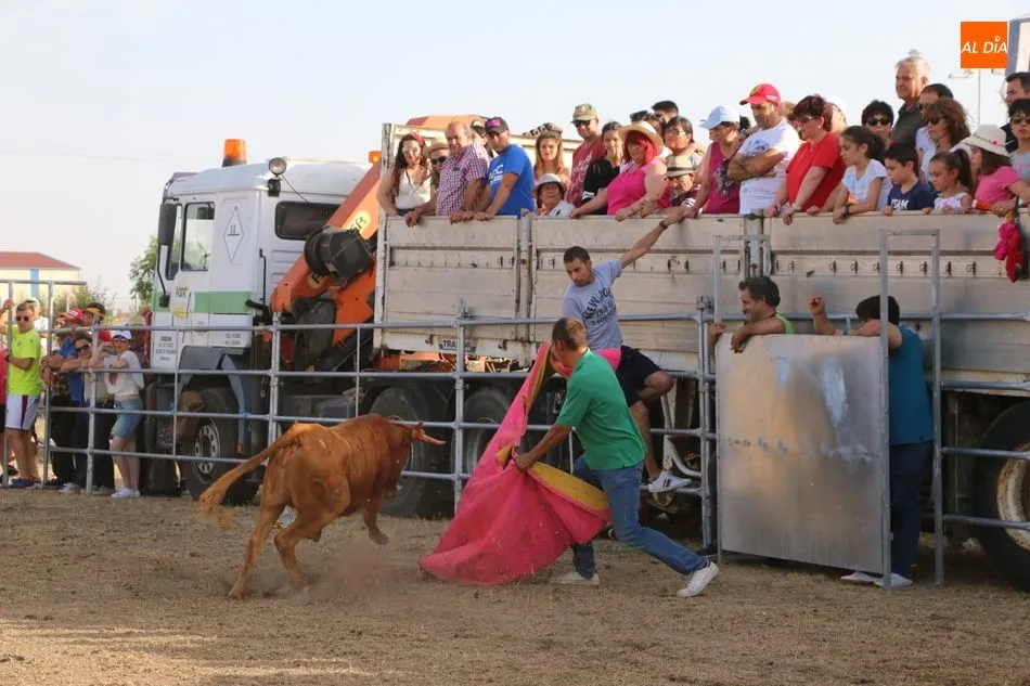 Foto 8 - Bonito festejo taurino en Villar de Peralonso y para todos los gustos  
