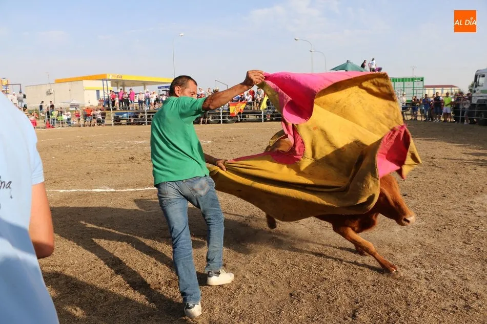 Foto 7 - Bonito festejo taurino en Villar de Peralonso y para todos los gustos  