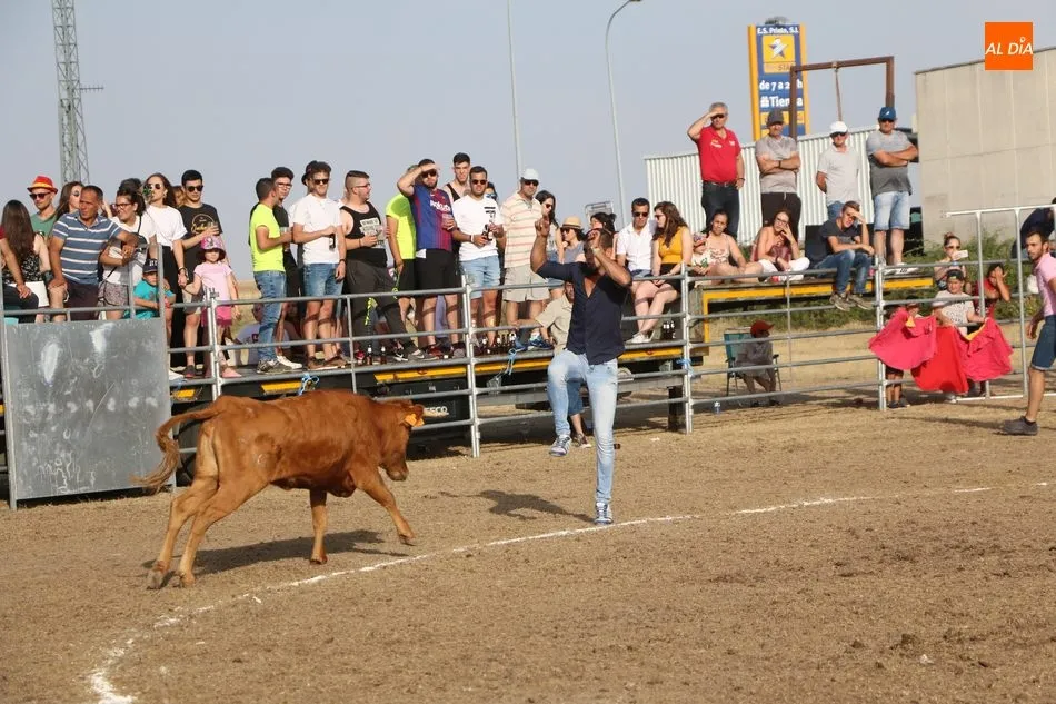 Foto 6 - Bonito festejo taurino en Villar de Peralonso y para todos los gustos  