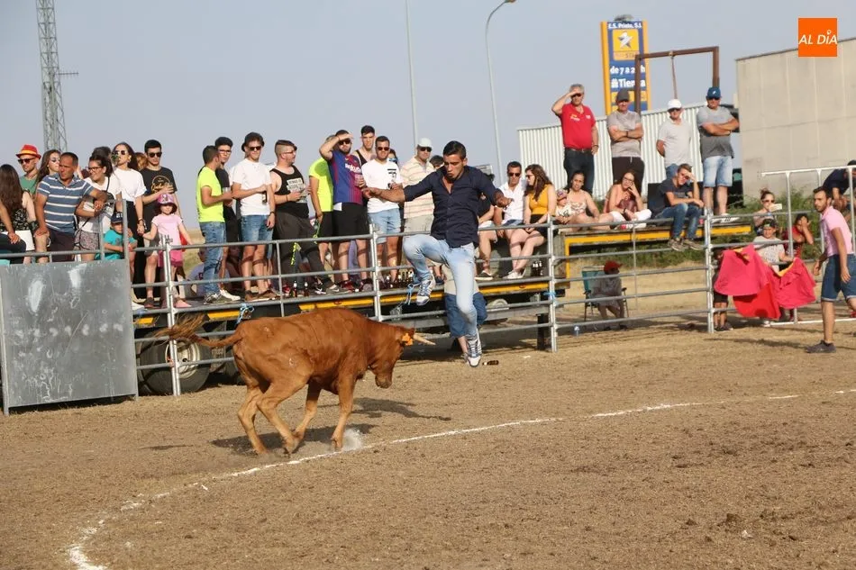 Foto 3 - Bonito festejo taurino en Villar de Peralonso y para todos los gustos  