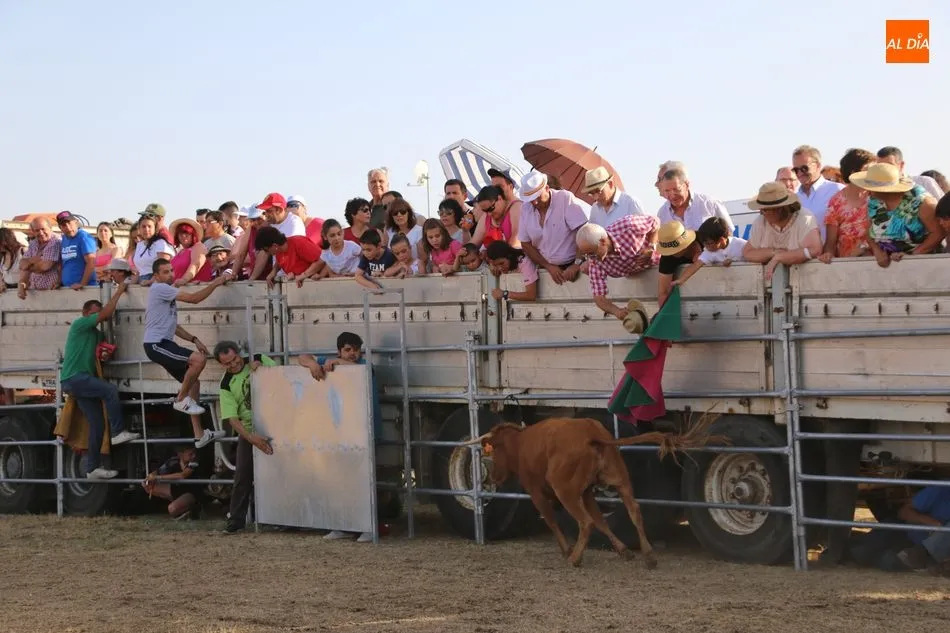 Foto 2 - Bonito festejo taurino en Villar de Peralonso y para todos los gustos  