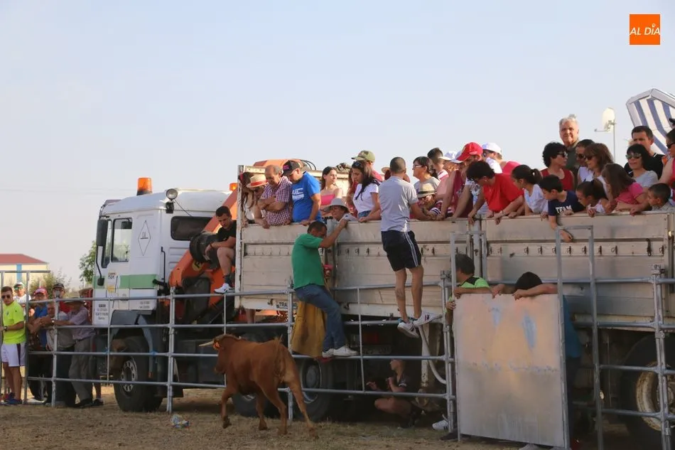 Bonito festejo taurino en Villar de Peralonso y para todos los gustos  