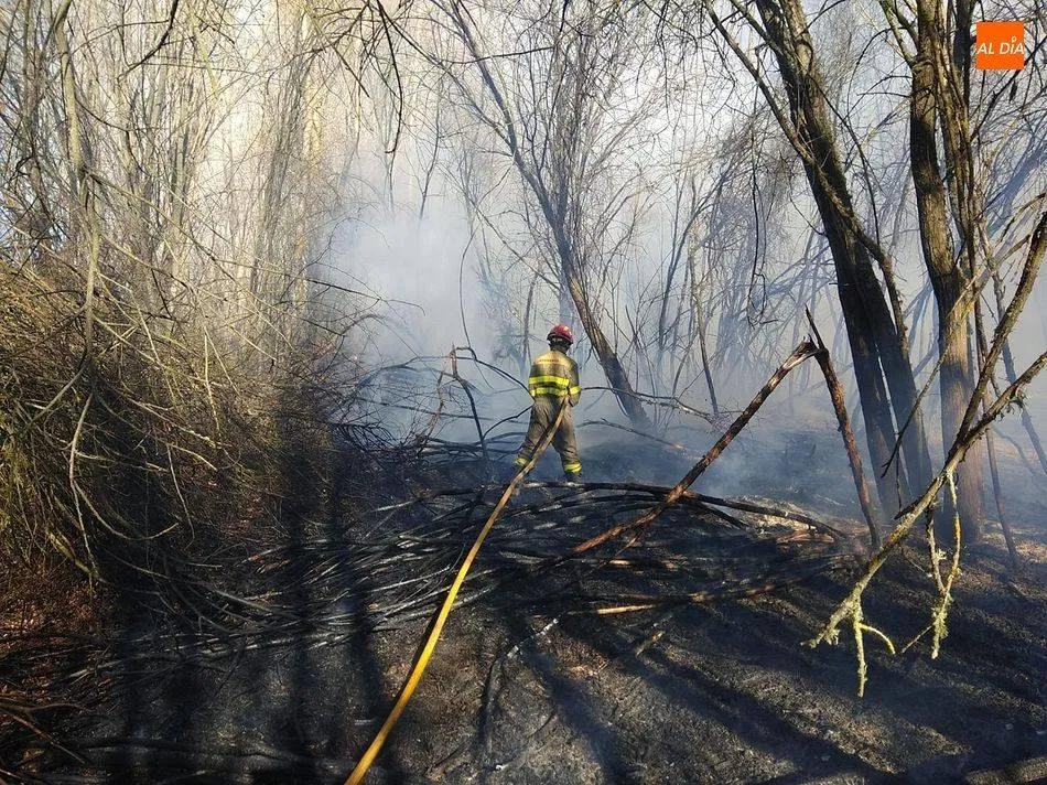 La Junta recuerda la prohibición de hacer fuego y usar maquinaria en el monte ante el peligro alto ...