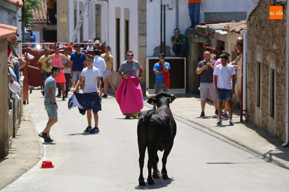 Foto 10 - El encierro de vaquillas pone fin a los festejos taurinos en Bogajo  