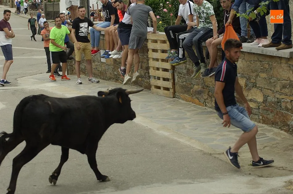 Oportunidad para rememorar en vídeo varios de los eventos taurinos del pasado finde  