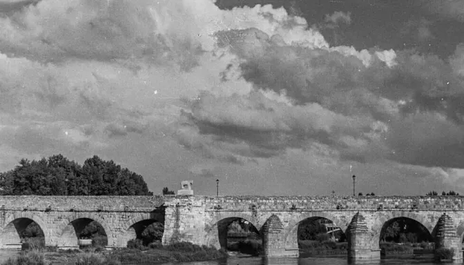 Foto 2 - El toro o verraco de Salamanca