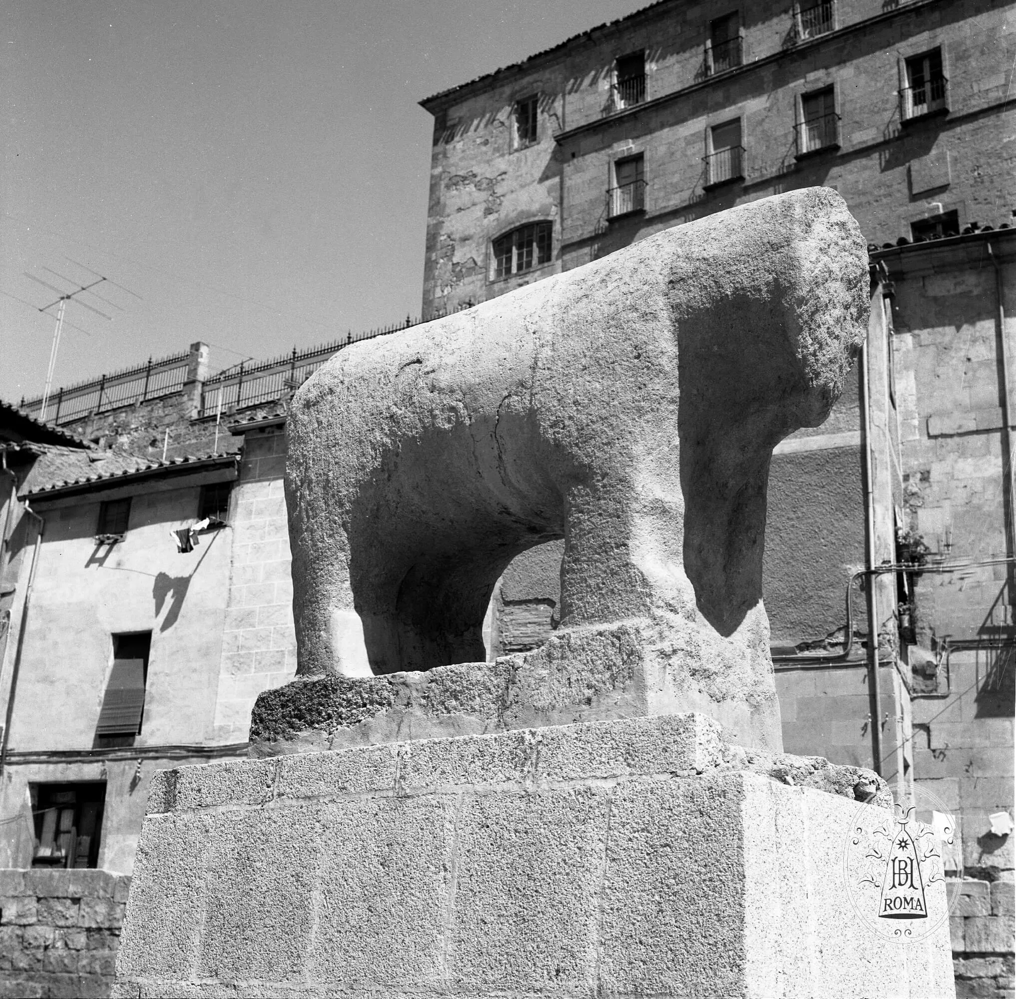 Foto 3 - El toro o verraco de Salamanca