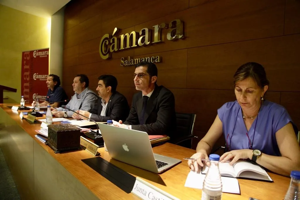 Foto 3 - El pleno de la C&aacute;mara de Comercio de Salamanca nombra a Emilio Checa nuevo Secretario General  