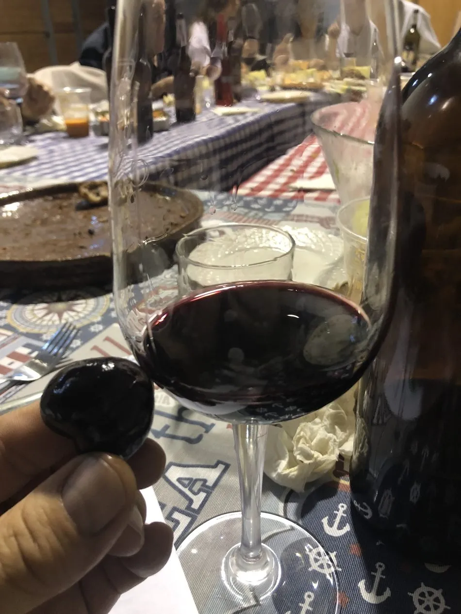 Foto 6 - Carralasmayas Reserva 2012, el otro tesoro del valle de Esgueva  