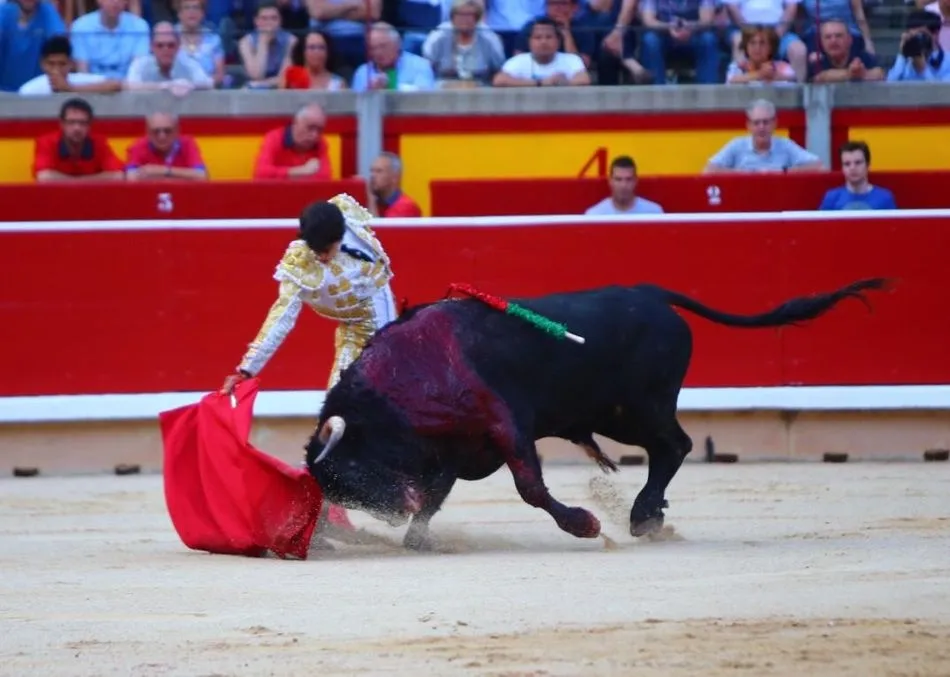 El salmantino Antonio Grande, en Pamplona. Foto: Emilio Méndez (Cultoro)