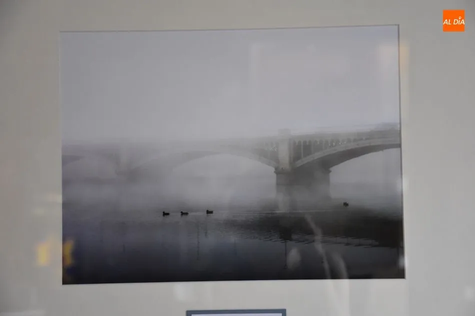 Foto 5 - Fotograf&iacute;a en la Cafeter&iacute;a del Casino de Salamanca, 9x2 artistas  