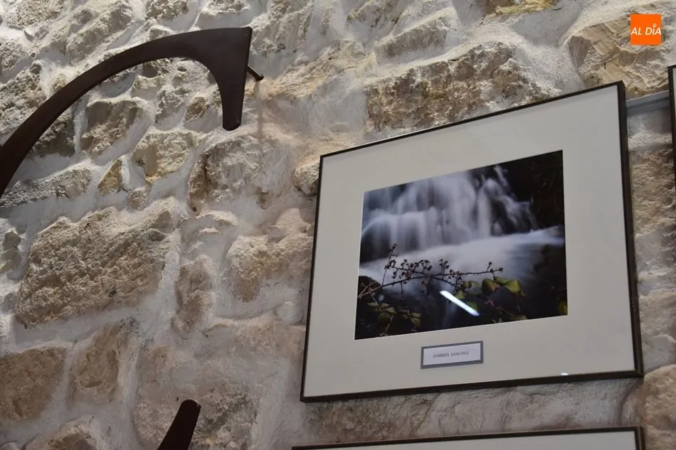 Foto 4 - Fotograf&iacute;a en la Cafeter&iacute;a del Casino de Salamanca, 9x2 artistas  