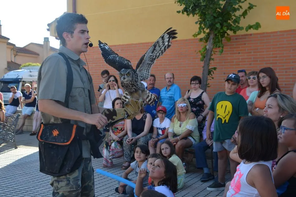Foto 10 - Diversi&oacute;n infantil y acrobacias de aves en las fiestas de Galindo y Perahuy