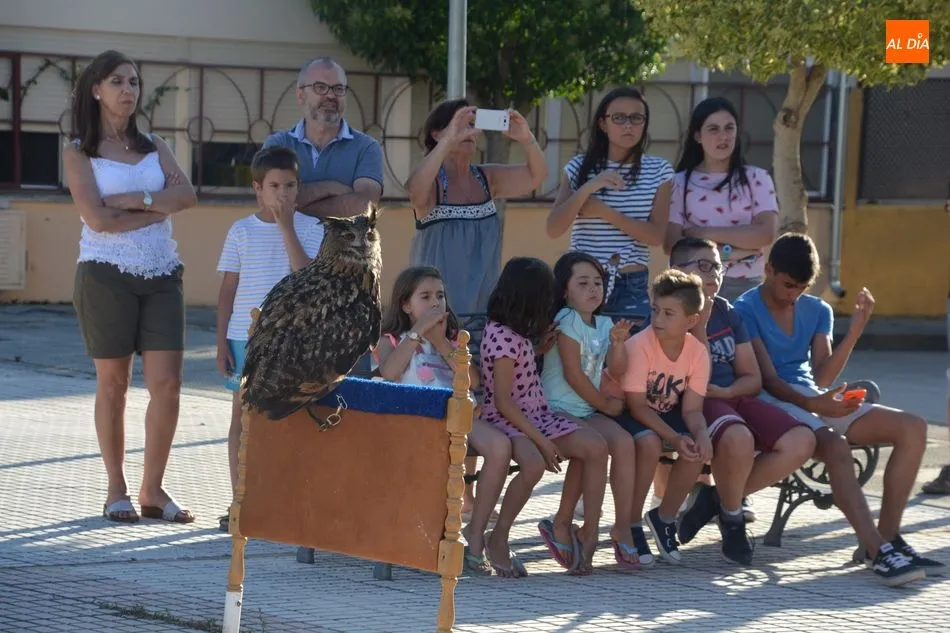 Foto 3 - Diversi&oacute;n infantil y acrobacias de aves en las fiestas de Galindo y Perahuy