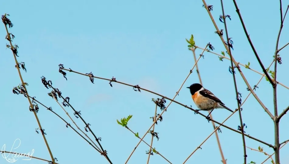 El equilibrio de la fragilidad