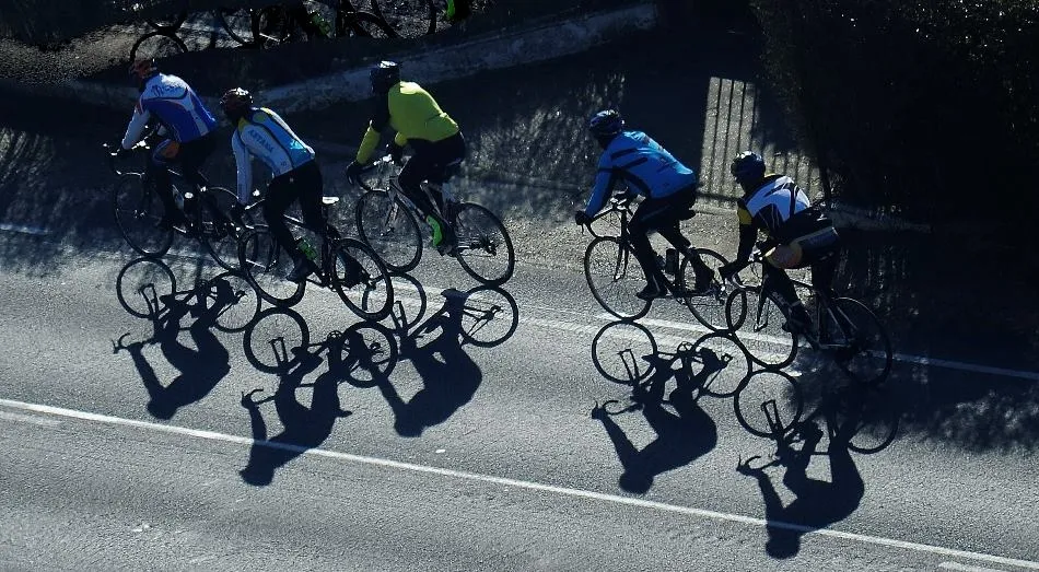 Sombras vivientes en el asfalto