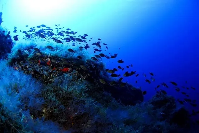 Fondo del mar / Europa Press