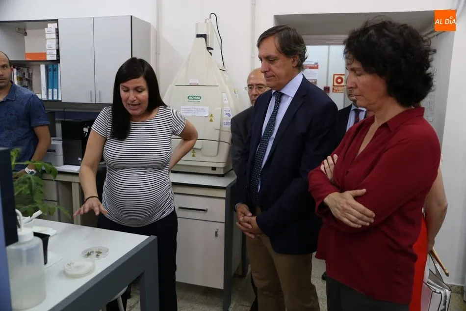 Foto 3 - Ainhoa Mart&iacute;nez investiga cultivos que sean m&aacute;s resistentes frente a las plagas
