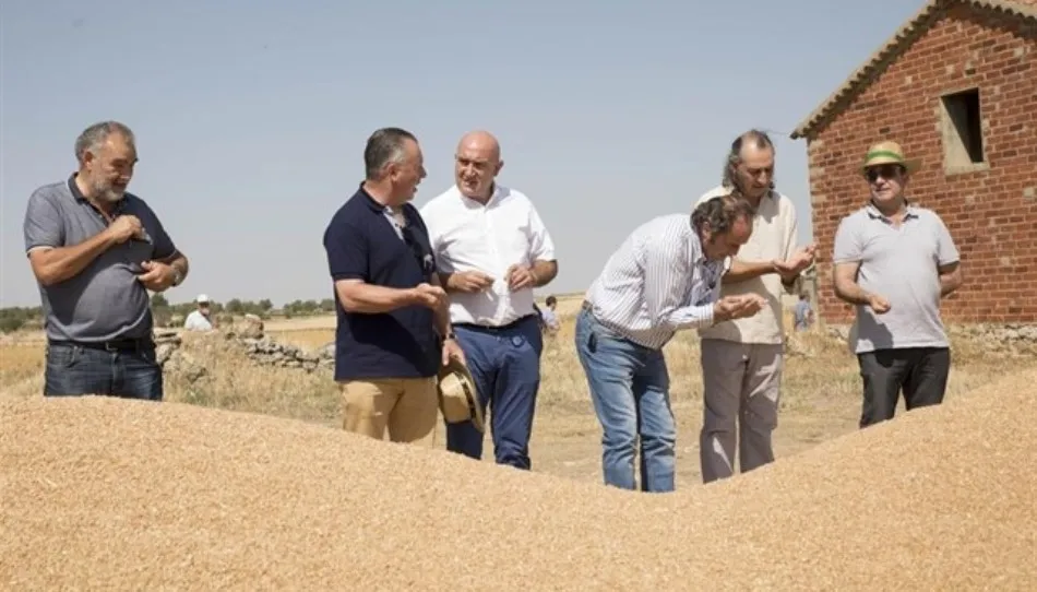 Foto 2 - La sequ&iacute;a reduce la cosecha de Salamanca el 40 por ciento por ciento de la producci&oacute;n media