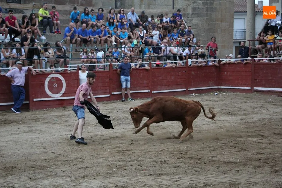 Foto 9 - Tarde triunfal&nbsp;de Jes&uacute;s de la Calzada e Ismael Mart&iacute;n en Sobradillo  