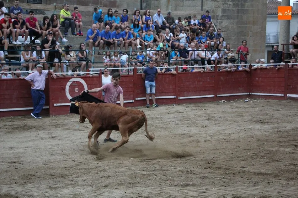 Foto 4 - Tarde triunfal&nbsp;de Jes&uacute;s de la Calzada e Ismael Mart&iacute;n en Sobradillo  