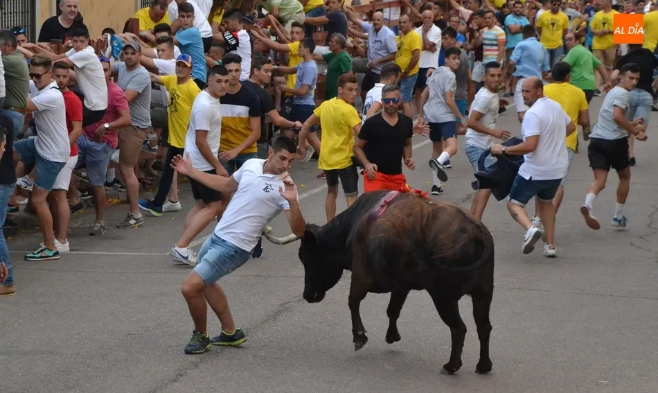 Los Amigos de la Vaca doblan sus beneficios, que destinarán a ediciones venideras  