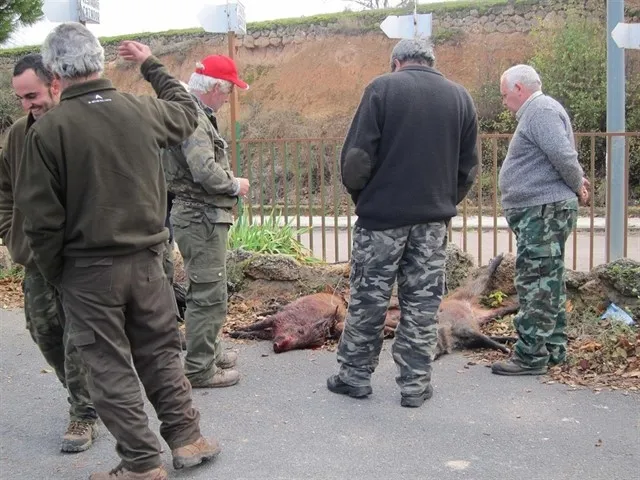 Grupo de cazadores observan unos jabalíes abatidos / Europa Press
