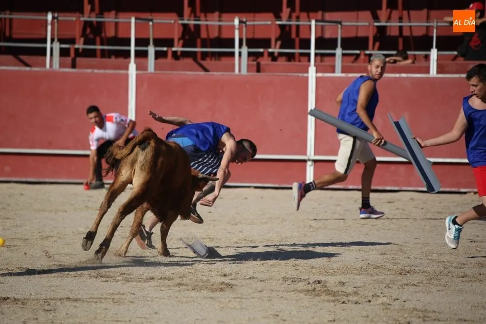 Foto 5 - La capea de las Fiestas llena de ambiente a Santa Marta